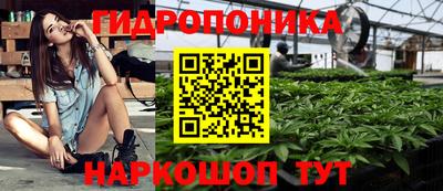 apvp Аша