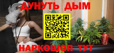 мяу мяу мука Ачхой-Мартан