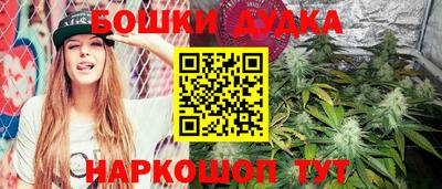 мяу мяу мука Ачхой-Мартан