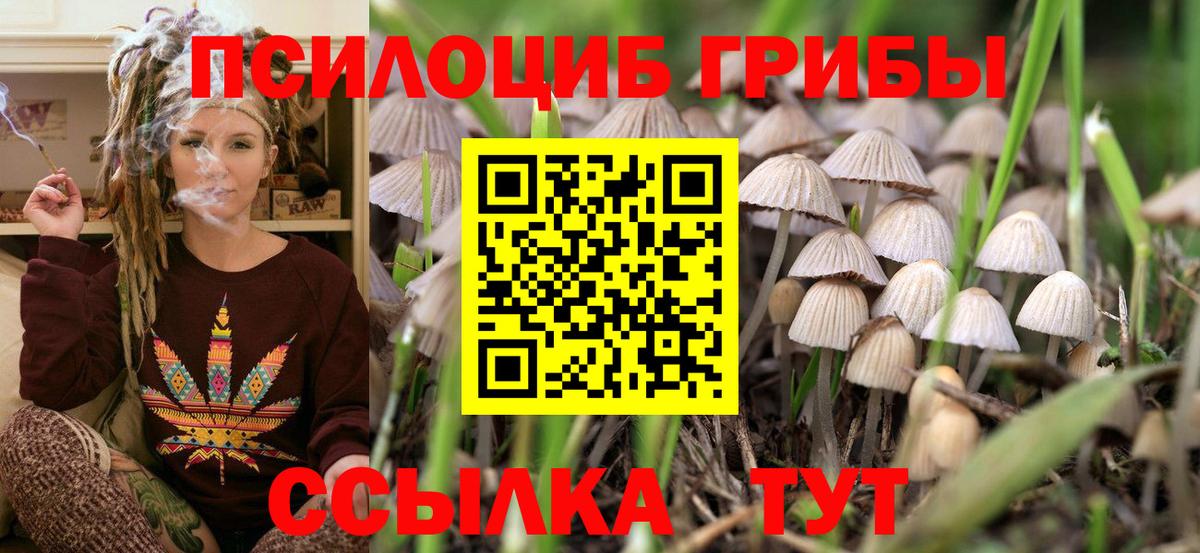 Псилоцибиновые грибы ЛСД  Вход с VPN  где купить наркоту  Кимовск 