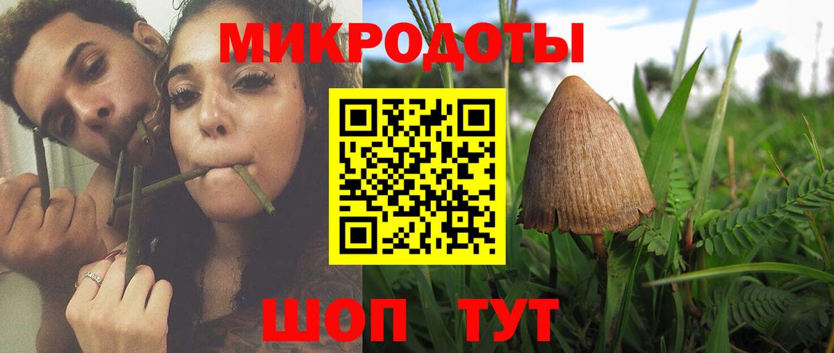 Галлюциногенные грибы мицелий Кимовск